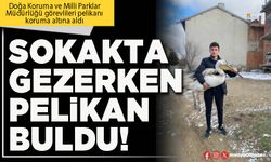 Sokakta gezerken pelikan buldu!