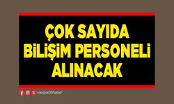 Çok sayıda bilişim personeli alınacak