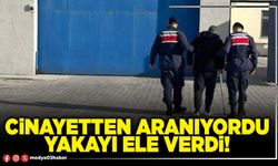 Cinayetten aranıyordu yakayı ele verdi!