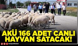 AKÜ 166 adet canlı hayvan satacak!
