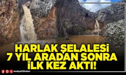 Harlak şelalesi 7 yıl aradan sonra ilk kez aktı!