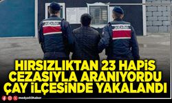 Hırsızlıktan 23 hapis cezasıyla aranıyordu Çay ilçesinde yakalandı