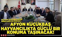 Afyon küçükbaş hayvancılıkta güçlü bir konuma taşınacak!