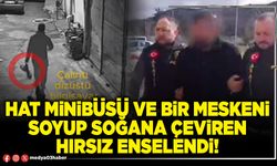 Hat minibüsü ve bir meskeni soyup soğana çeviren hırsız enselendi!