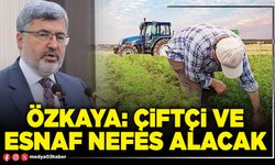 Özkaya: Çiftçi ve esnaf nefes alacak