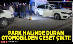 Park halinde duran otomobilden ceset çıktı!