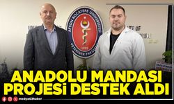 Anadolu mandası projesi destek aldı