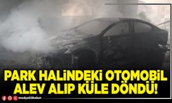 Park halindeki otomobil alev alıp küle döndü!