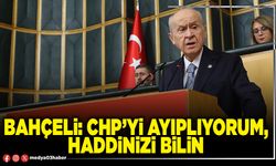 Bahçeli: CHP’yi ayıplıyorum, haddinizi bilin