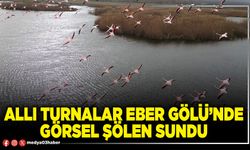 Allı turnalar Eber Gölü’nde görsel şölen sundu