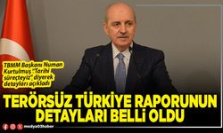 Terörsüz Türkiye raporunun detayları belli oldu