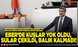 Eber’de kuşlar yok oldu, sular çekildi, balık kalmadı!