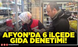 Afyon’da 6 ilçede gıda denetimi!