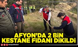 Afyon’da 2 Bin kestane fidanı dikildi