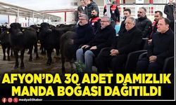 Afyon’da 30 adet damızlık manda boğası dağıtıldı