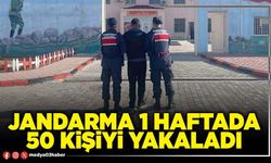 Jandarma 1 haftada 50 kişiyi yakaladı