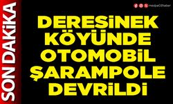Deresinek Köyünde otomobil şarampole devrildi