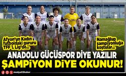 Anadolu Gücüspor diye yazılır Şampiyon diye okunur!