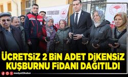 Ücretsiz 2 Bin adet dikensiz kuşburnu fidanı dağıtıldı