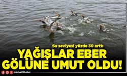 Yağışlar Eber Gölüne umut oldu!