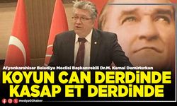 Koyun can derdinde, kasap et derdinde