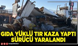 Gıda yüklü tır kaza yaptı sürücü yaralandı