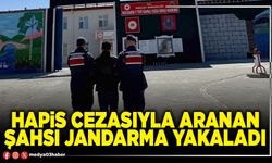 Hapis cezasıyla aranan şahsı jandarma yakaladı