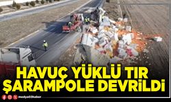 Havuç yüklü tır şarampole devrildi
