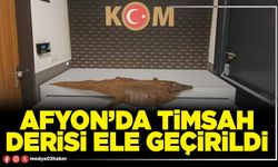 Afyon’da timsah derisi ele geçirildi