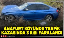 Anayurt Köyünde trafik kazasında 3 kişi yaralandı