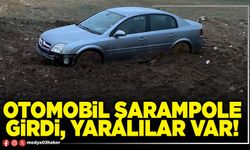 Otomobil şarampole girdi, yaralılar var!