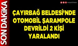 Çayırbağ Beldesi’nde otomobil şarampole devrildi 2 kişi yaralandı