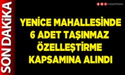 Yenice Mahallesinde 6 Adet taşınmaz özelleştirme kapsamına alındı