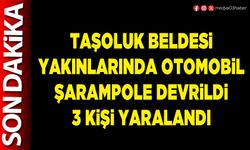 Taşoluk Beldesi yakınlarında otomobil şarampole devrildi