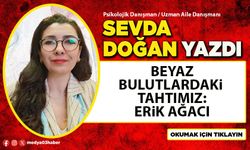 Beyaz Bulutlardaki Tahtımız: Erik Ağacı