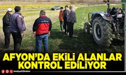 Afyon’da ekili alanlar kontrol ediliyor