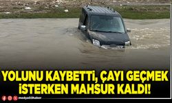 Yolunu kaybetti, Çayı geçmek isterken mahsur kaldı!