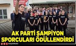 AK Parti şampiyon sporcuları ödüllendirdi
