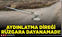 Aydınlatma direği rüzgara dayanamadı!