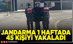 Jandarma 1 haftada 45 kişiyi yakaladı