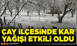 Çay ilçesinde kar yağışı etkili oldu