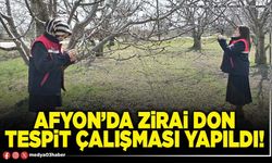 Afyon’da zirai don tespit çalışması yapıldı!