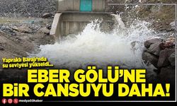 Eber Gölü’ne bir cansuyu daha!