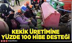 Kekik üretimine yüzde 100 hibe desteği