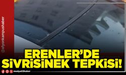 Erenler’de sivrisinek tepkisi!