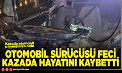 Otomobil sürücüsü feci kazada hayatını kaybetti
