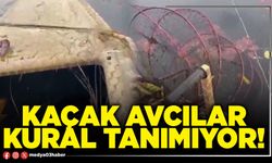 Kaçak avcılar kural tanımıyor!