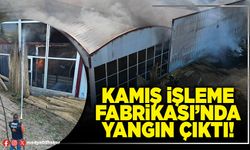 Kamış işleme fabrikası’nda yangın çıktı!