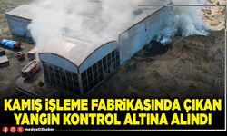 Kamış işleme fabrikasında çıkan yangın kontrol altına alındı