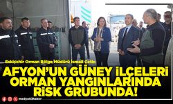 Afyon’un güney ilçeleri orman yangınlarında risk grubunda!
